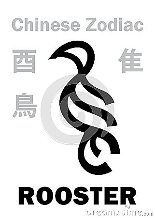 Astrology: ROOSTER / BIRD (sign of Chinese Zodiac) Vector Illustration